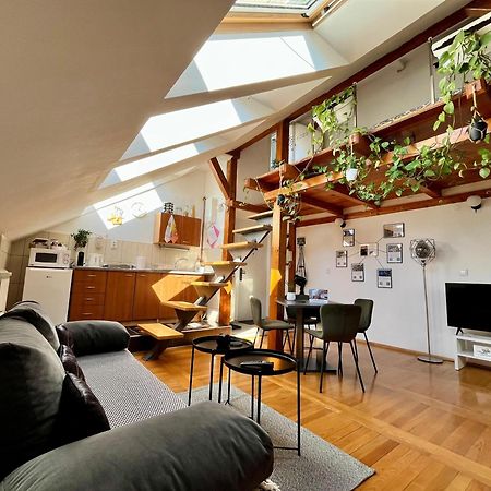 Captain Misha'S Place Belgrado Exterior foto