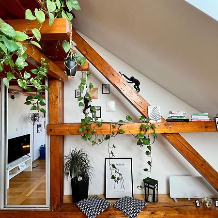 Captain Misha'S Place Belgrado Exterior foto