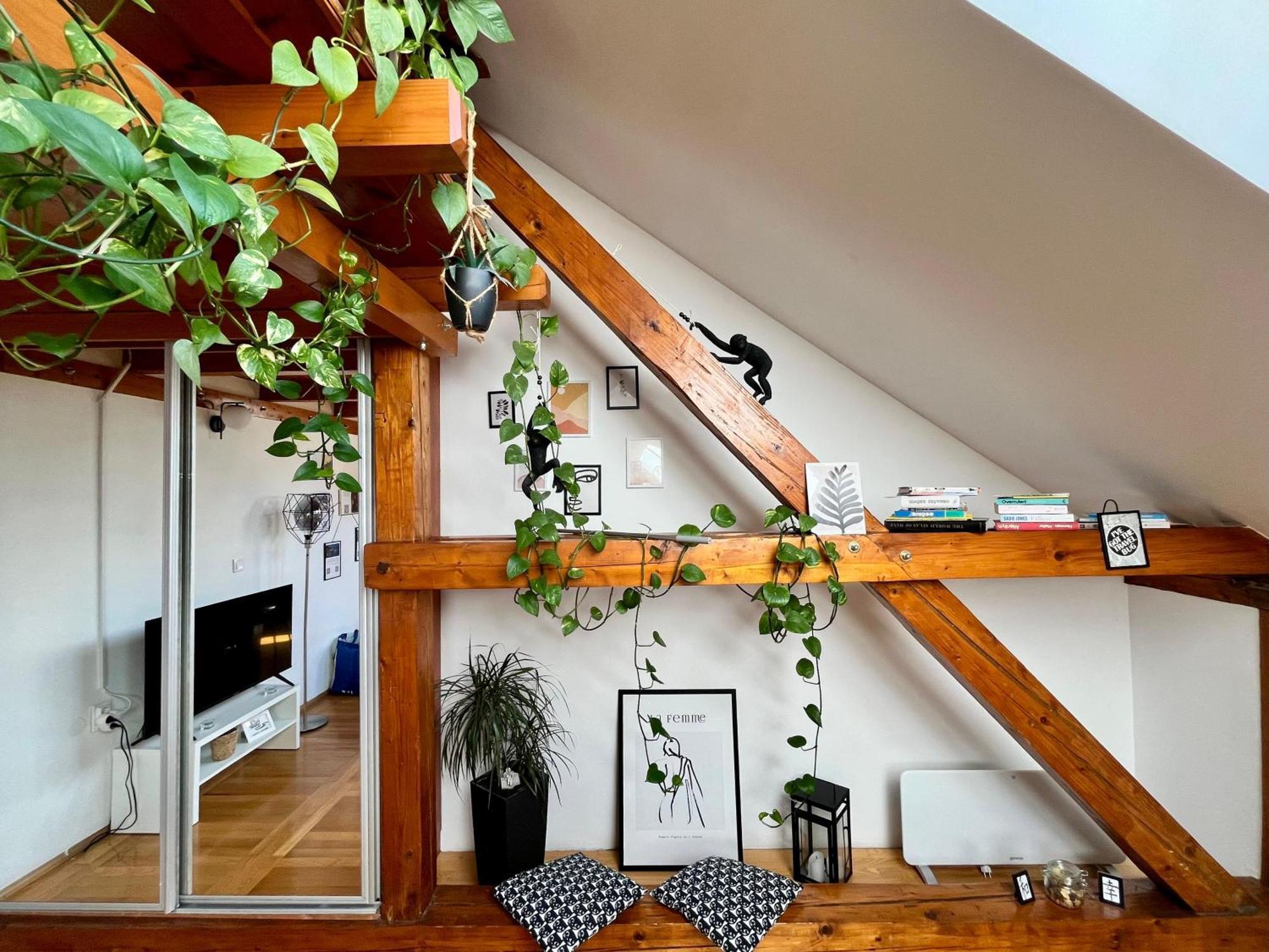 Captain Misha'S Place Belgrado Exterior foto